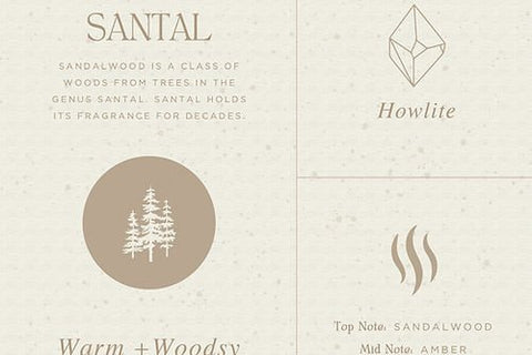 AuraTae Santal Soy Candle – Sandalwood, Vanilla & Amber - The Local Space