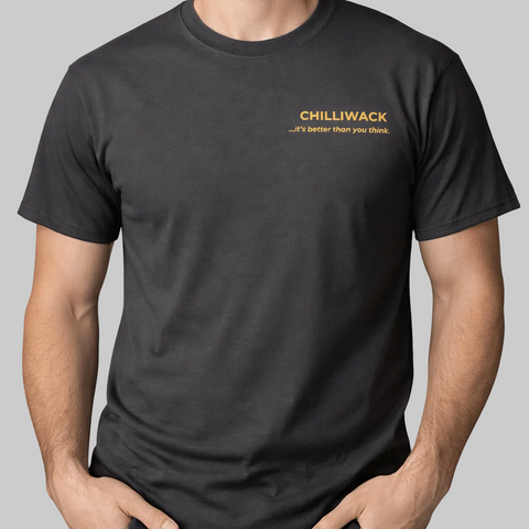 Chilliwack Better Than You Think - The Local Space