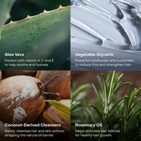 The Shampoo Concentrate