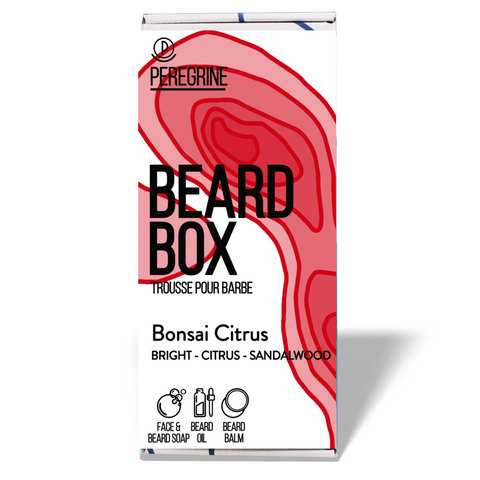 Beard Box | Beard Care Set