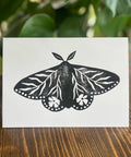Floral Moth | Greeting Card - The Local Space