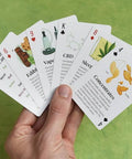 Knowhow Studio - The Weed Deck: Playing Cards about Cannabis - The Local Space