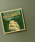 54 + Pine Greetings from Chilliwack Magnet - Chilliwack Souvenir - The Local Space