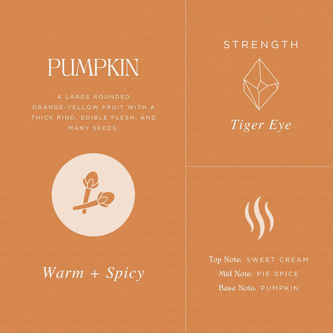 Pumpkin | Nutmeg, Vanilla, Caramel - The Local Space