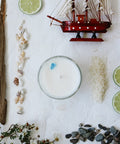 Isle, Coconut, Lime, Vanilla Soy Candle - The Local Space