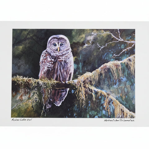 Chilliwack & BC Art Prints | Huibert Van Drimmelen