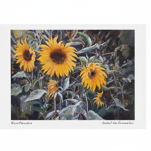Chilliwack & BC Art Prints | Huibert Van Drimmelen
