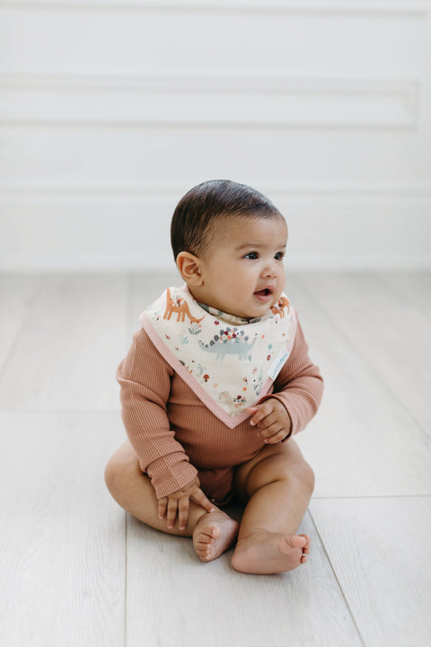 Bandana Bib Set - 2 Pack - Baby Dinomite