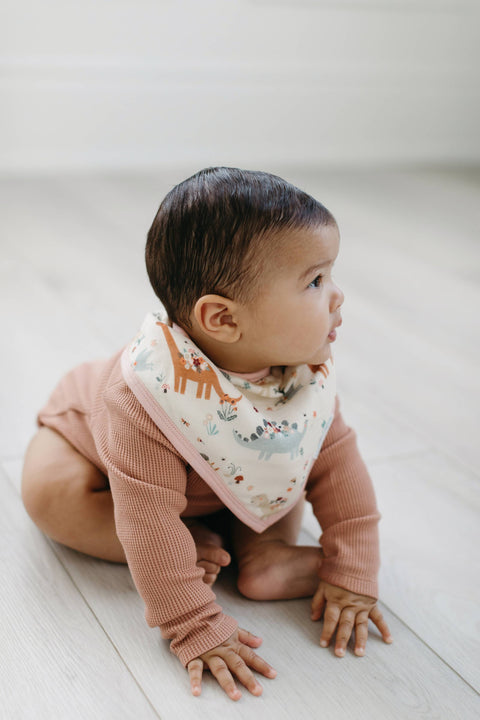 Bandana Bib Set - 2 Pack - Baby Dinomite