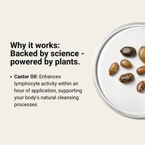 Belly Jelly | Castor Oil Stick - The Local Space