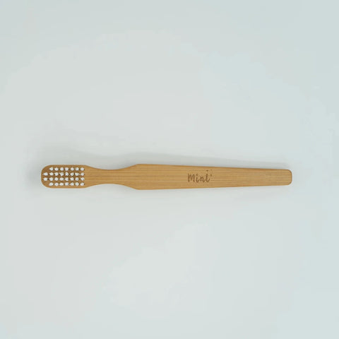 Mint Cleaning | Mint Cleaning Brush, The Local Space, Local Canadian Brands