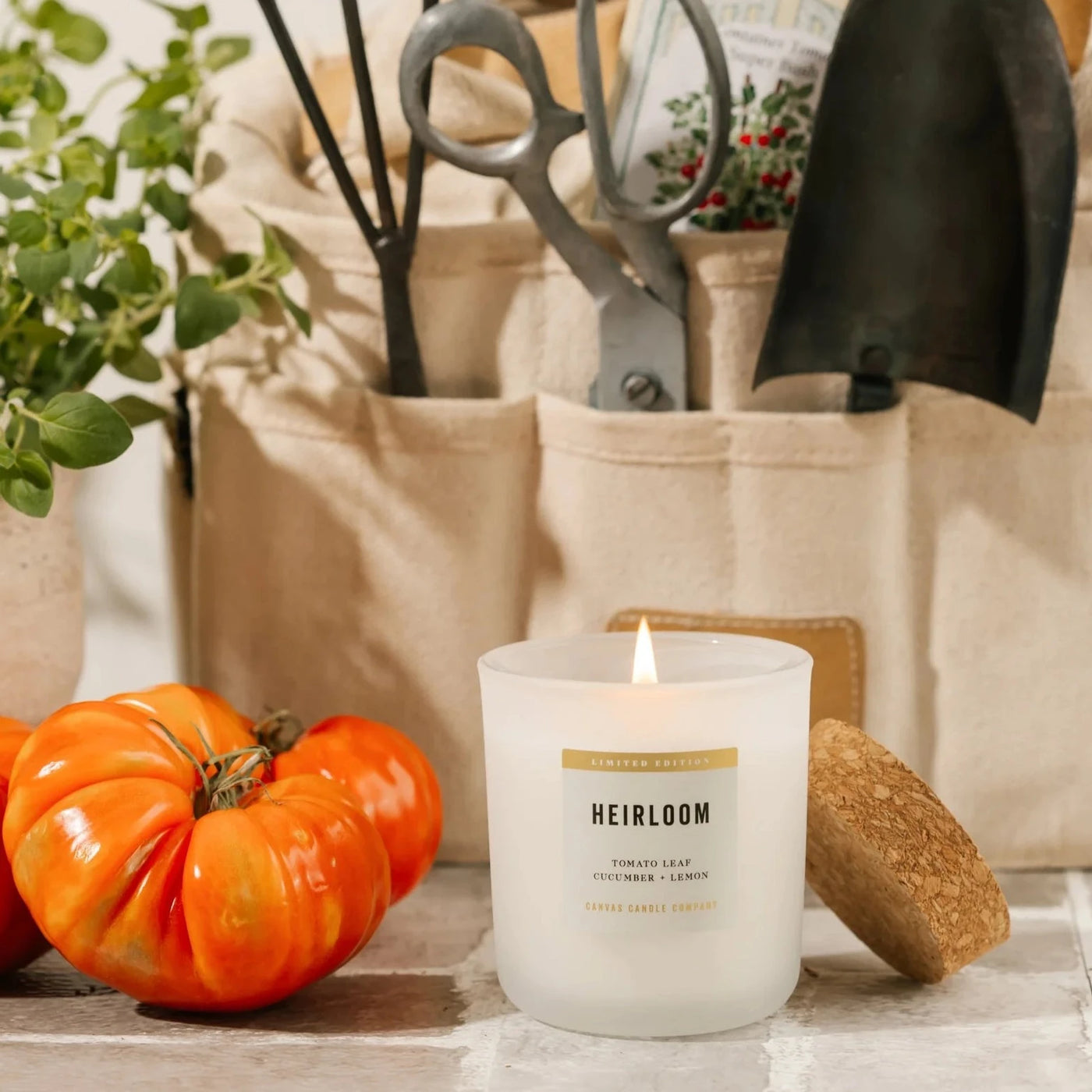 Canvas Candle Co. | Heirloom Signature Candle, The Local Space, Local Canadian Brands 