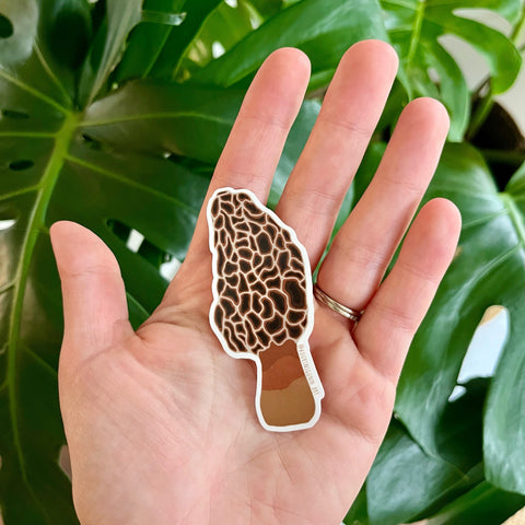 Morel Mushroom Sticker | The Local Space