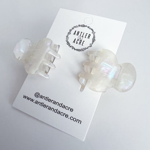 Butterfly Claw Clips | Pair of 2 - The Local Space