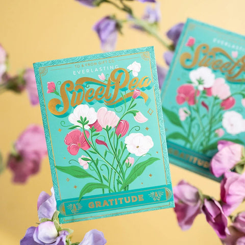 Everlasting Sweet Pea (Gratitude)| Seed Packet