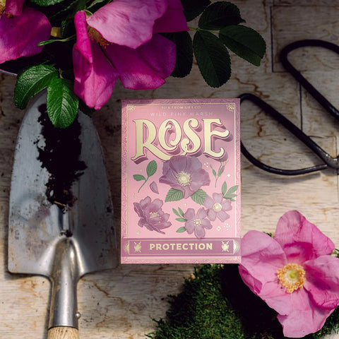 Wild Pink Marsh Rose (Protection)| Seed Packet