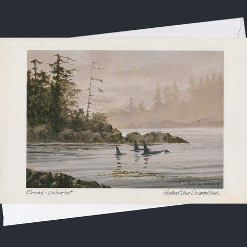 Assorted Greeting Cards | In-Store Exclusive