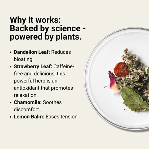 Moodshine | Mind Boosting Herbal Tea - The Local Space