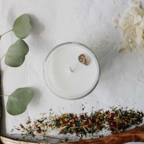 Driftwood - Sea Salt, Evergreen, & Citrus Soy Candle