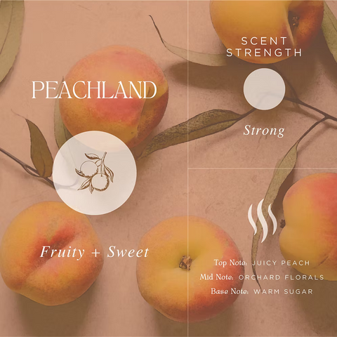Peachland Botanical Cleaning Concentrate