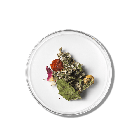 Moodshine | Mind Boosting Herbal Tea - The Local Space