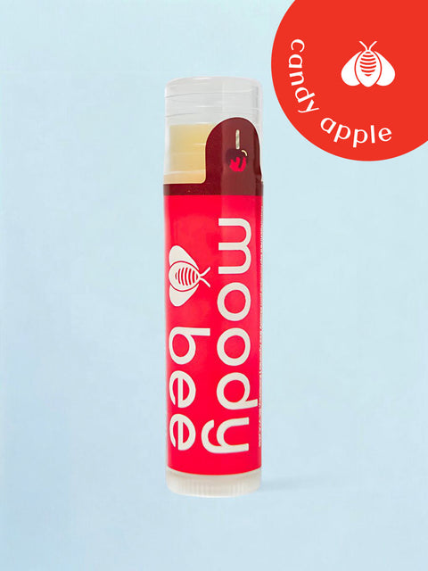 Autumn Lip Balm | 6 Pack Box Set - The Local Space