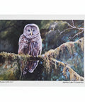 Chilliwack & BC Art Prints | Huibert Van Drimmelen - The Local Space