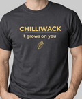 Chilliwack It Grows On You Top - The Local Space