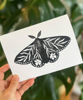 Floral Moth | Greeting Card - The Local Space