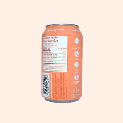 Peach Ginger | Collagen-Infused Sparkling Water - The Local Space