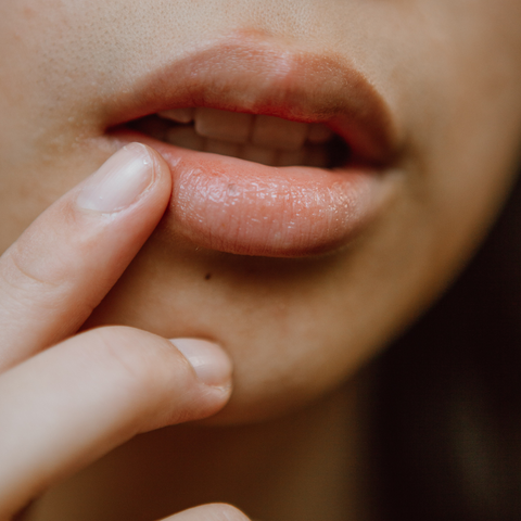 Tallow Lip Balm - The Local Space