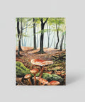 Greeting Cards | Huibert Van Drimmelen - The Local Space