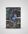 Greeting Cards | Huibert Van Drimmelen - The Local Space