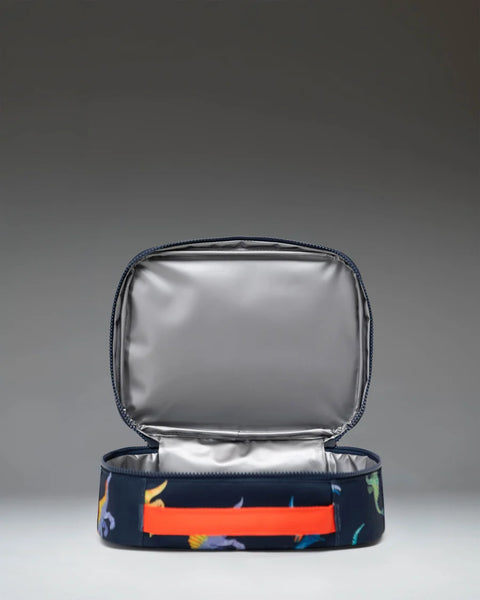 Pop Quiz Lunch Box - Dinosaurs