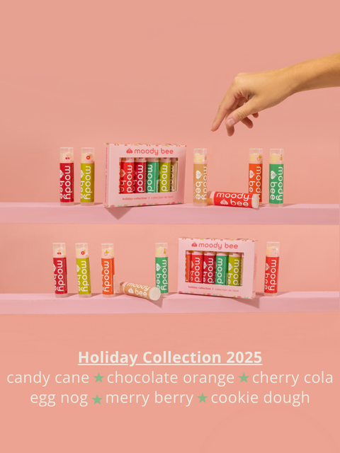 Holiday Lip Balm | 6 Pack Box Set - The Local Space