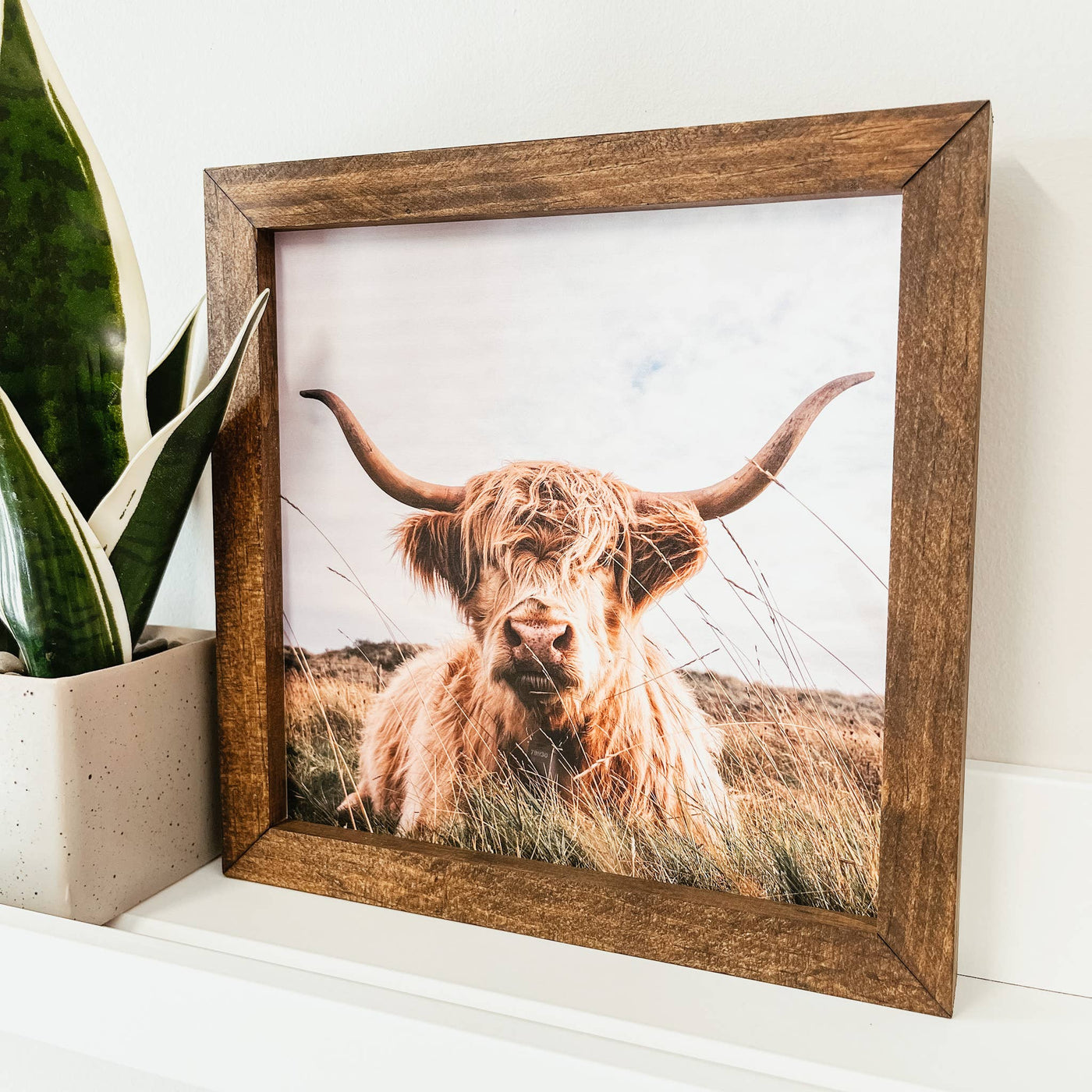 Highland Cow Framed Wooden Sign - The Local Space