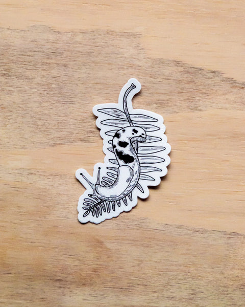 Banana Slug - Waterproof Vinyl Sticker