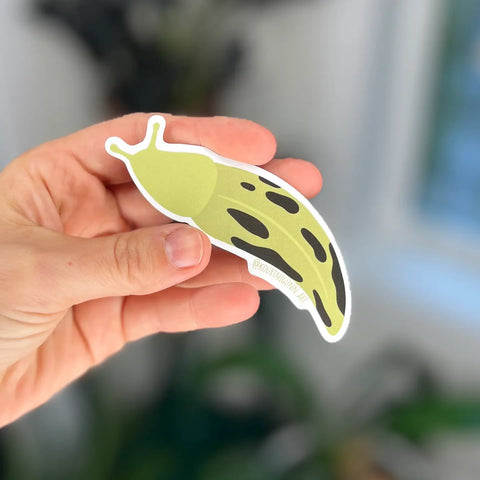 Banana Slug Sticker
