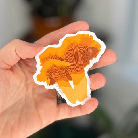 Chanterelle Mushrooms Sticker