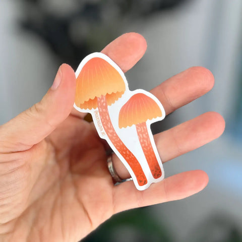 Pink + Orange Mushrooms Sticker