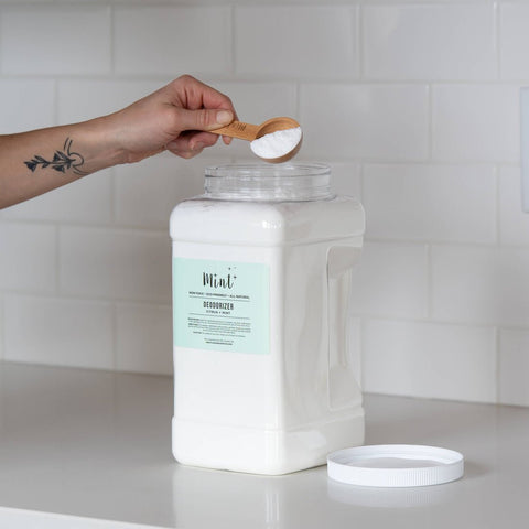 Mint All Natural Deodorizer Citrus + Mint - The Local Space