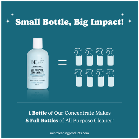 Mint All Purpose Concentrate – Ultra - Concentrated Cleaner - The Local Space