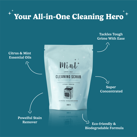 Mint Cleaning Scrub Nettoyant Recurant - The Local Space