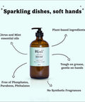 Mint Cleaning mint dish soap natural biodegradable dish soap - The Local Space