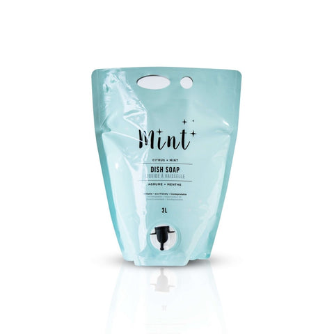 Mint Cleaning mint dish soap natural biodegradable dish soap - The Local Space