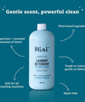 Mint Laundry Detergent – 956ml - The Local Space
