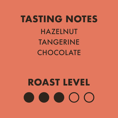Thoroughbred Instant Specialty Coffee