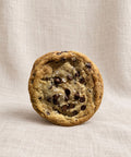 salted chocolate chip cookie on a plain background
