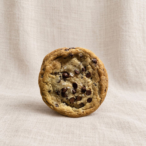 salted chocolate chip cookie on a plain background