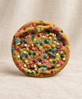 funfetti cookie on a textured fabric background
